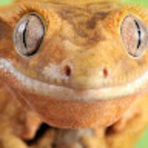 Meet your Posher, Sonia